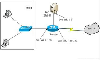 計(jì)算機(jī)網(wǎng)絡(luò)練習(xí)十一 應(yīng)用層服務(wù)與協(xié)議