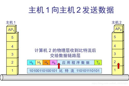計(jì)算機(jī)網(wǎng)絡(luò)概述 連接數(shù)字世界的基石